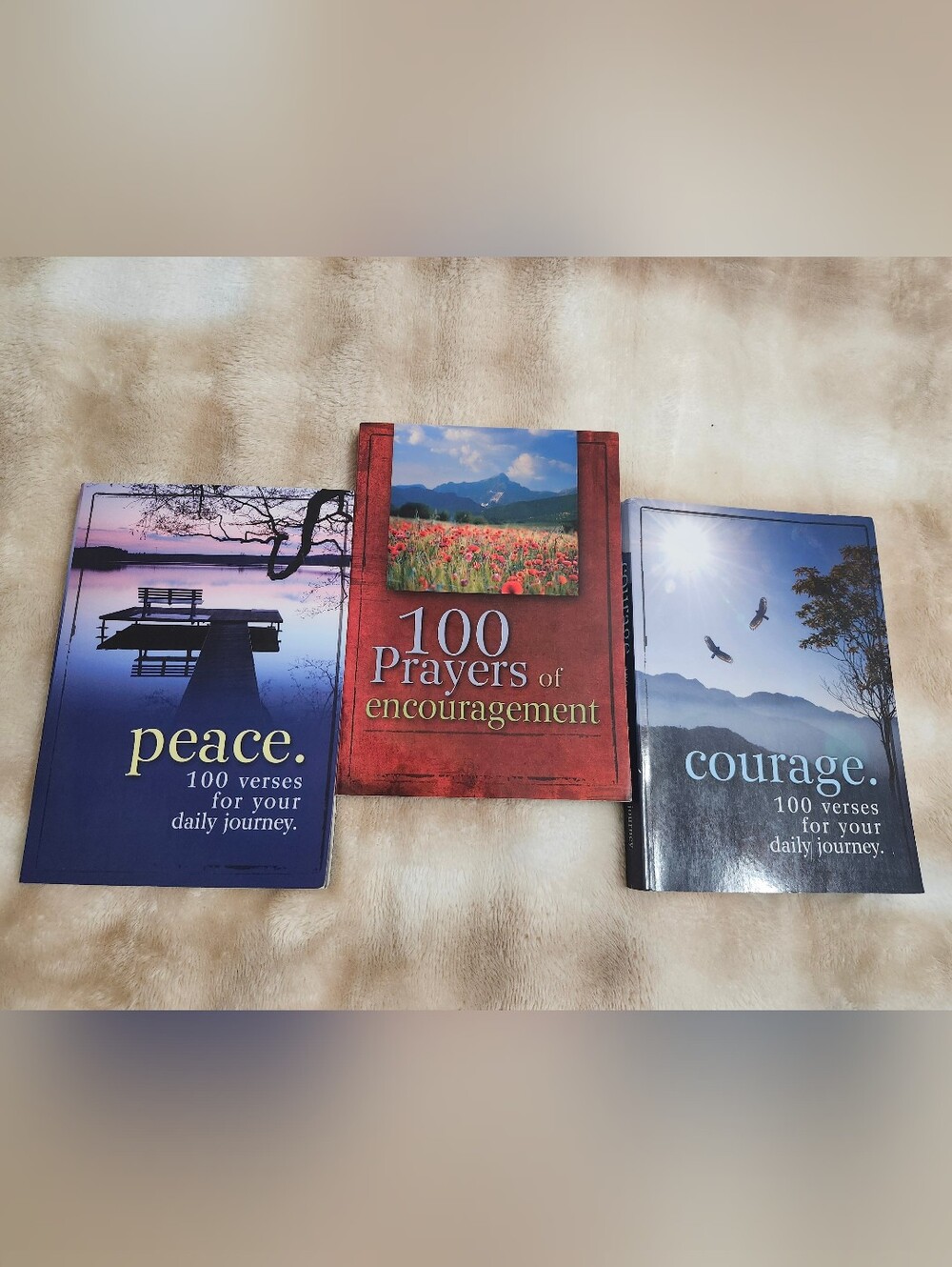 Set of 3 Religion Prayer Books Peace Courage Encouragement Religious Book Bundle